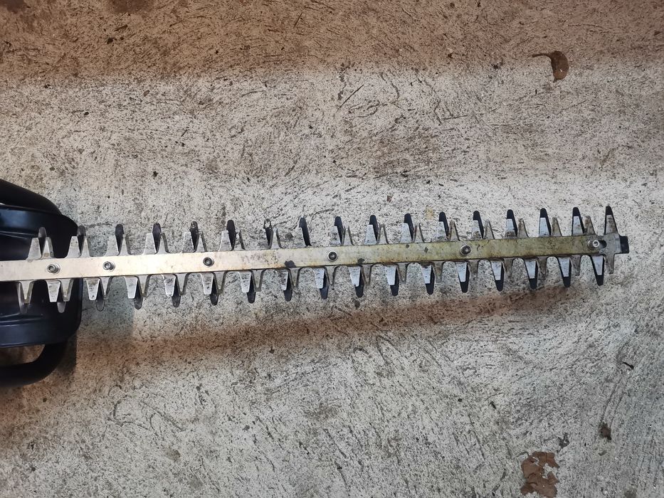 Бензинов храсторез