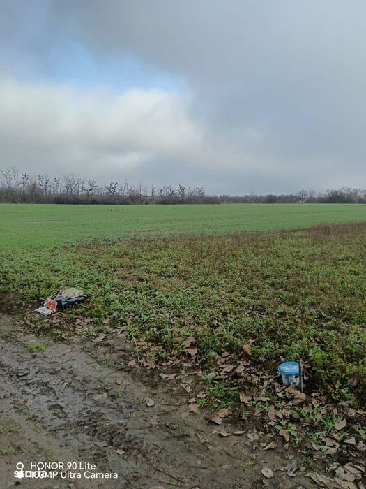 Teren agricol de vânzare, 2500 mp, acces ușor