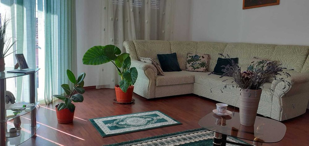 vand casa Sebis, Arad