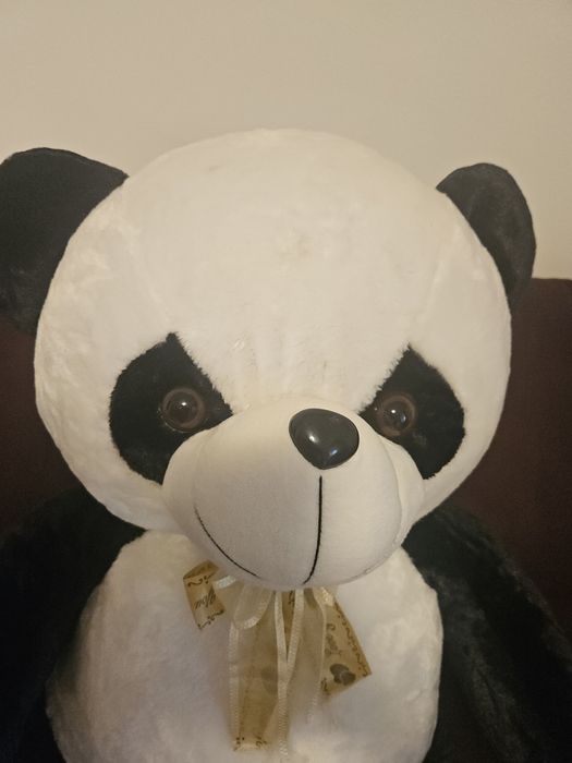 Urs Panda gigantic
