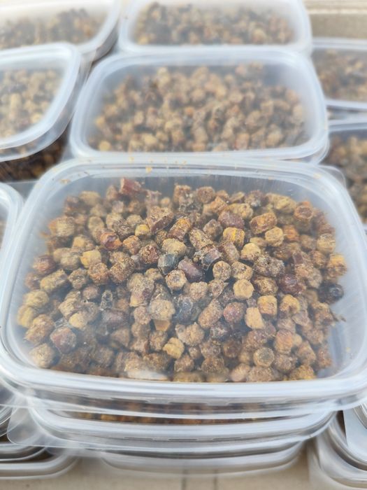 Продам пергу пчелиную, прополис