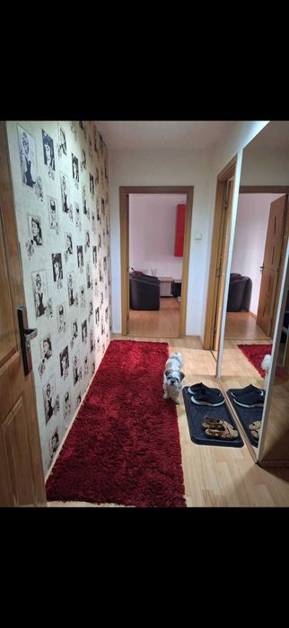 Ofer spre inchiriere apartanent 2 camere Brasov