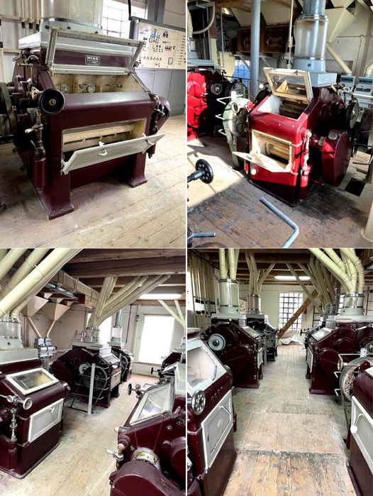 Vand moara faina grau