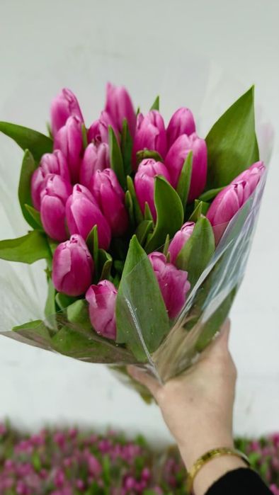 Тюльпаны. Свежие. Большие бутоны.