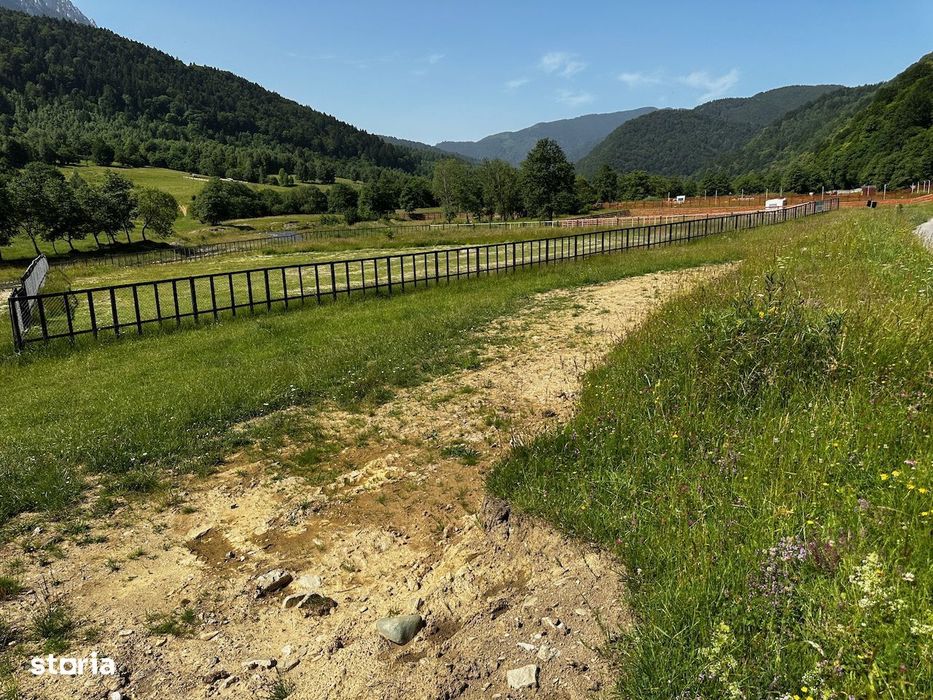 Teren intravilan - 1117 mp în Plaiul Foii