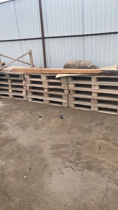 Паддоны 1200 тг Қызылорда