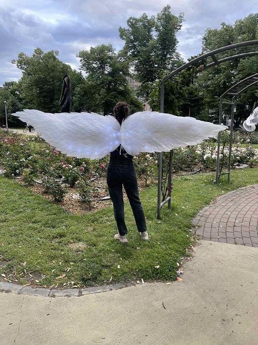 Крила за танци, шоу програми и фотосесии