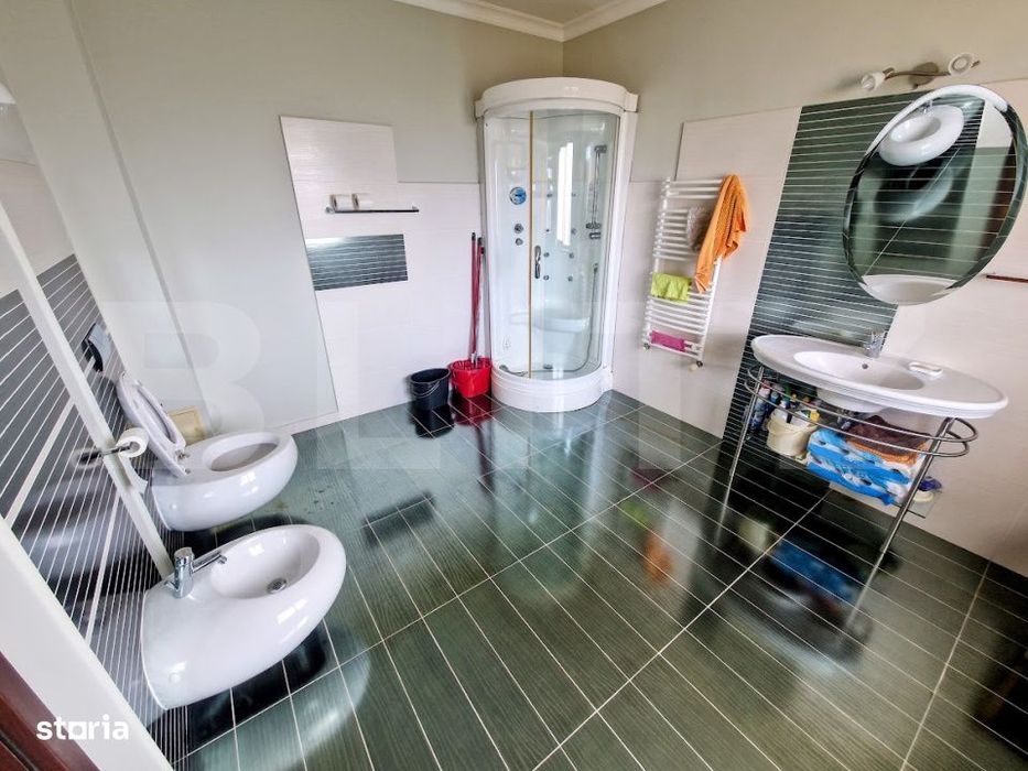 Proprietate Premium – Spatiu si Versatilitate pentru Locuinta sau Bu