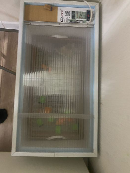 Инкубатор почти новый норма луппер