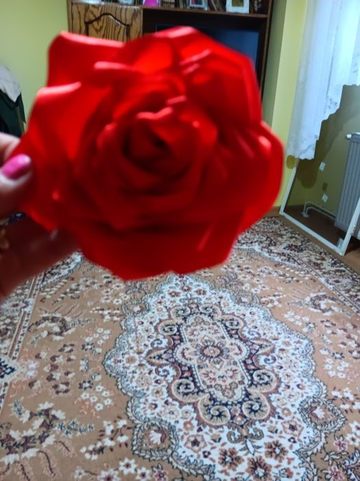 Trandafiri mari   din satin, culoare roșie si alb,un accesoriu  minunat pentru  evenimente,,sunt noi,,,50 lei bucata