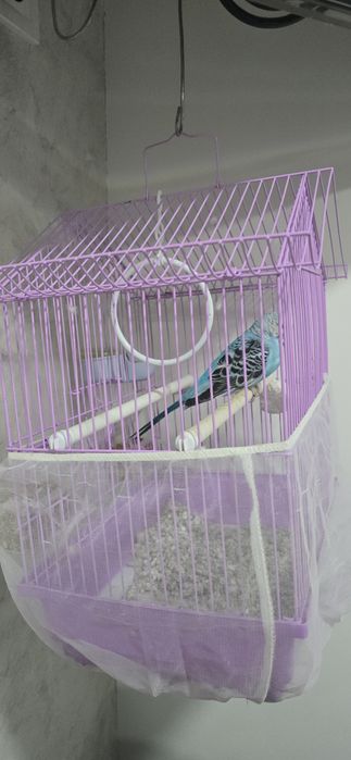 Cușcă/veliera peruși