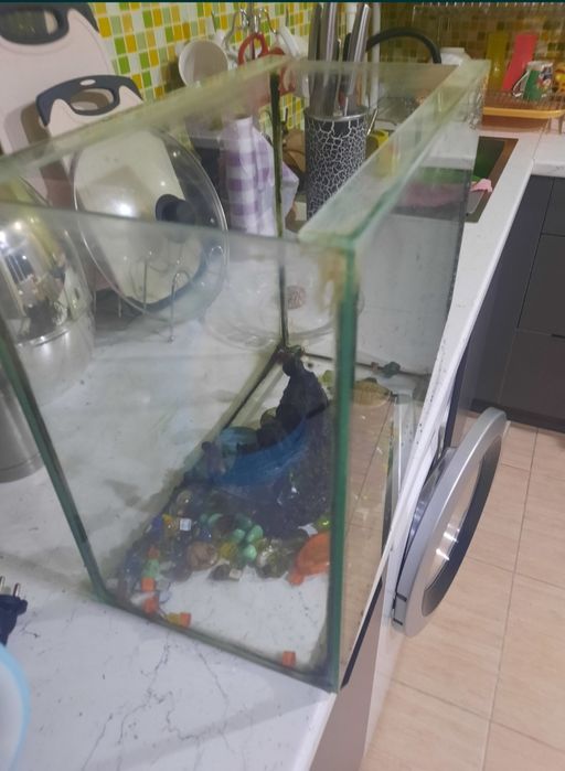 Аквариум для рыбок 25 л