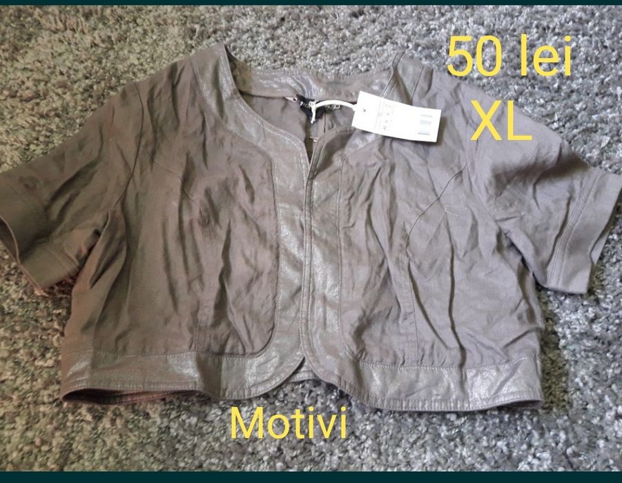 Gecuta Motivi nouă