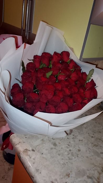 Цветы роза красный