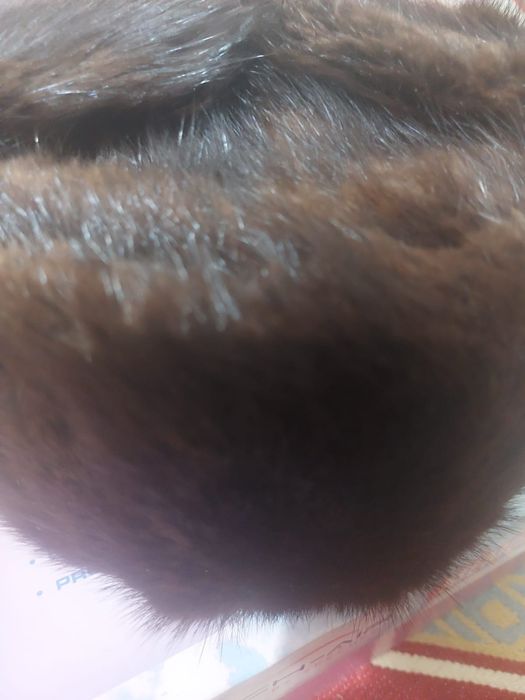 Шапка, Зима, Андатор