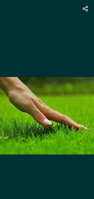 Газон екиш хизмати 100% халол