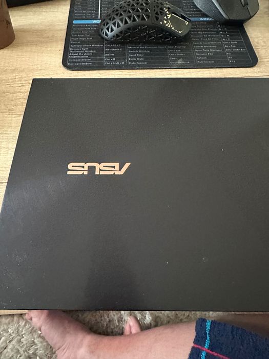 Asus Zenbook UX393J touchscreen