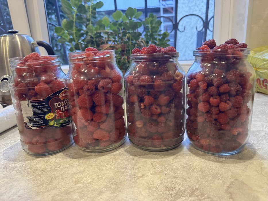 Продам малину (свежая)