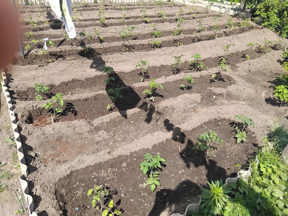 Продам       дом