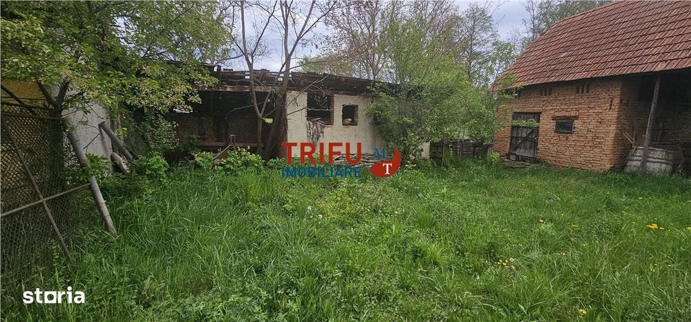 Casă veche + teren 3100 mp | Galda de Jos | Acces râu