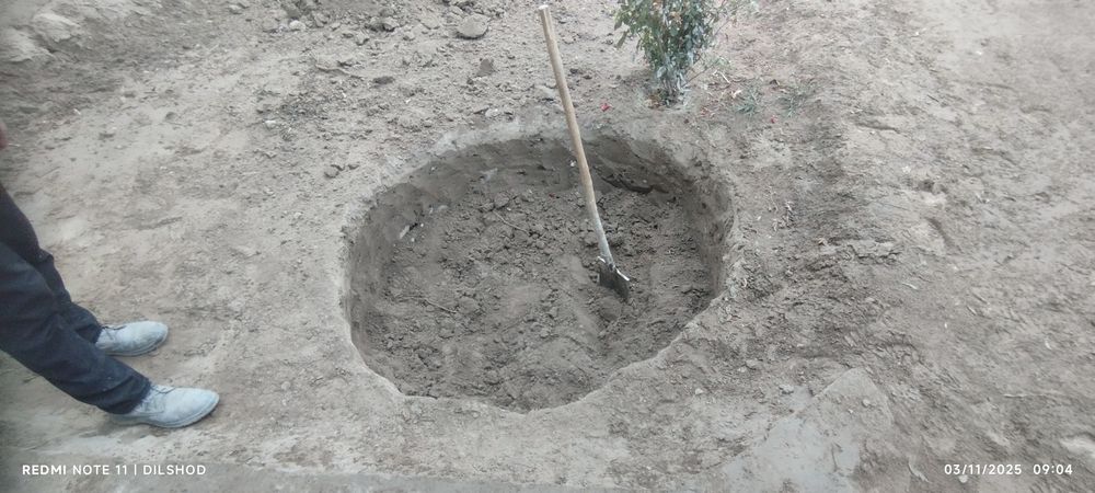 Qolodus qazish xizmati 10 yil kafolat