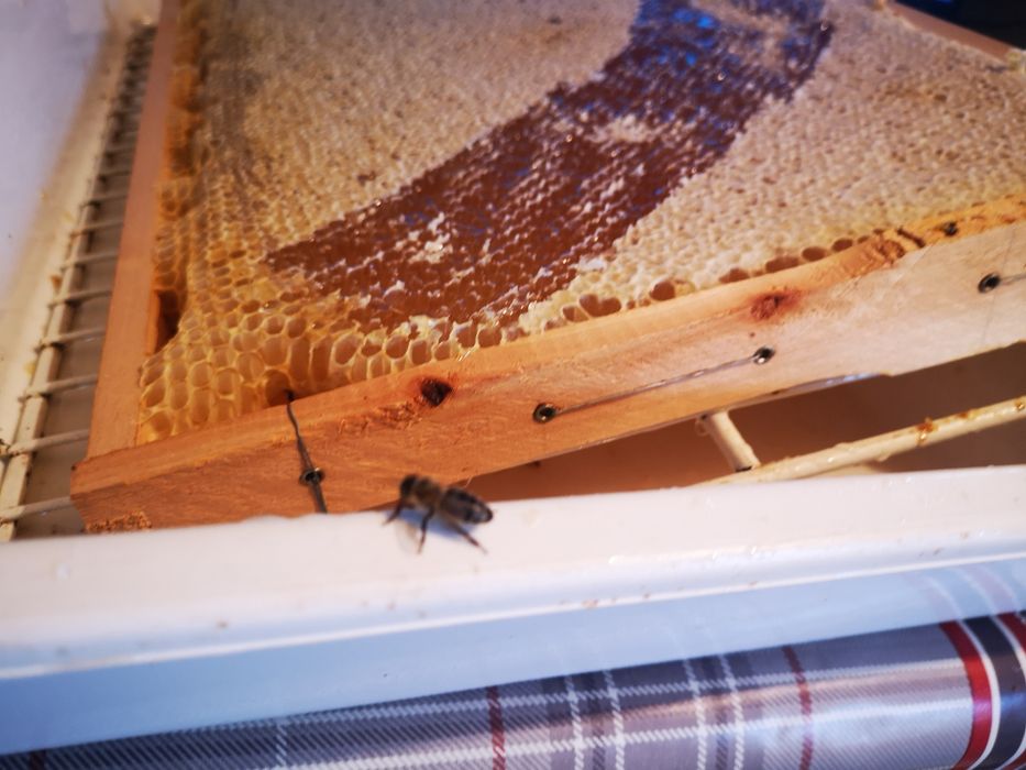 Miere naturală, fără îndulcitori