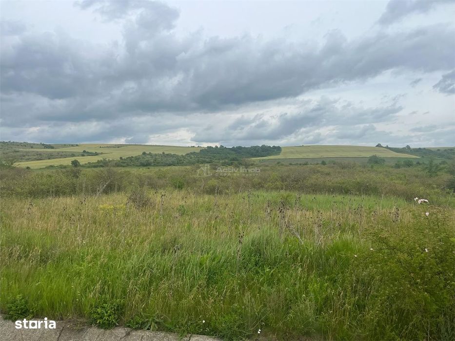 Lugoj, Teren 16.800 Mp., Cu deschidere  de 80 Ml., La Centura Ocolitoa