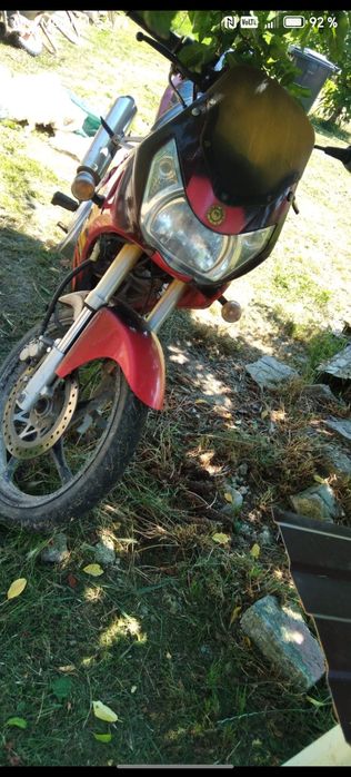 Motocicleta First Bike Concord