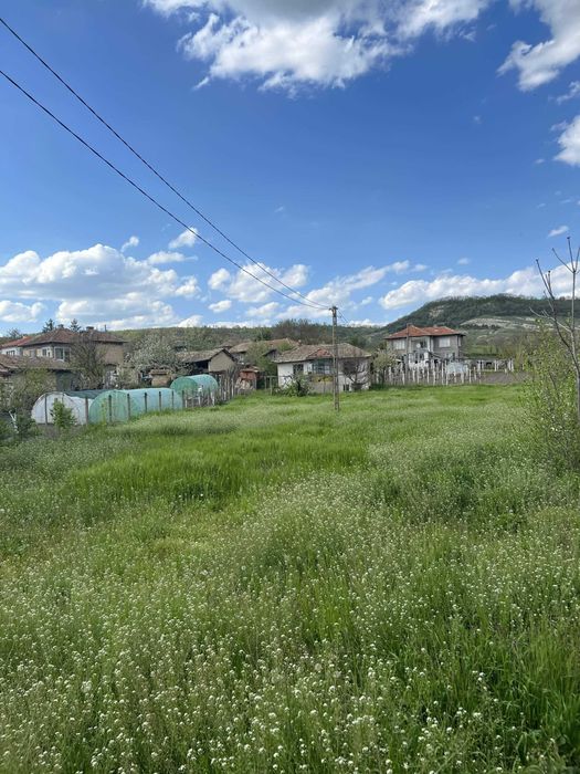 Парцел с къща 1489 кв.м с. Памукчии, обл. Шумен