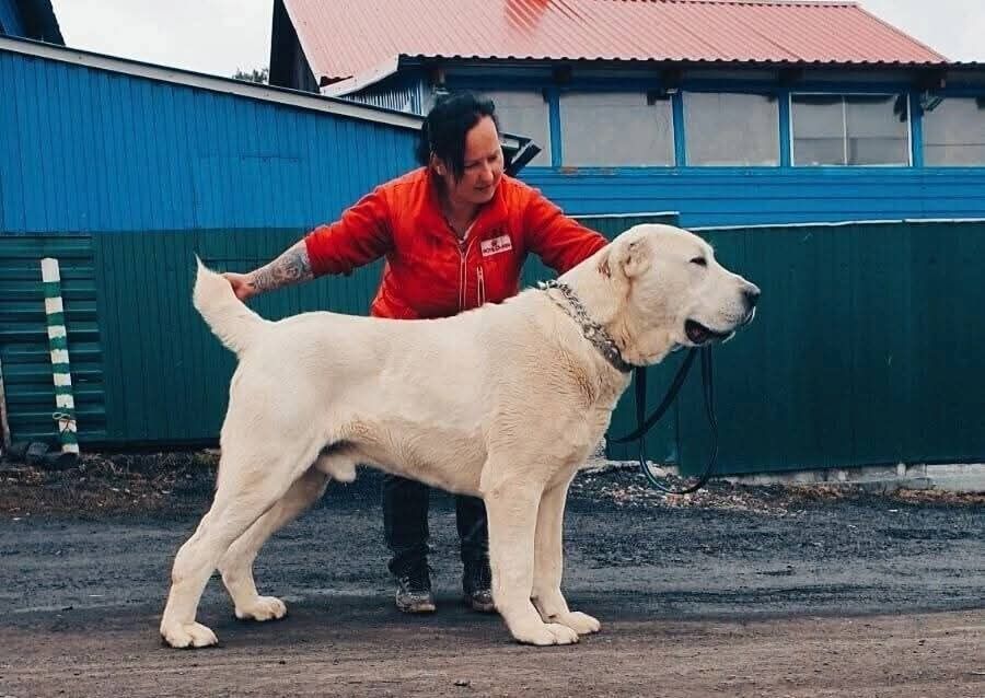 Белоснежная девочка 5 месяцев