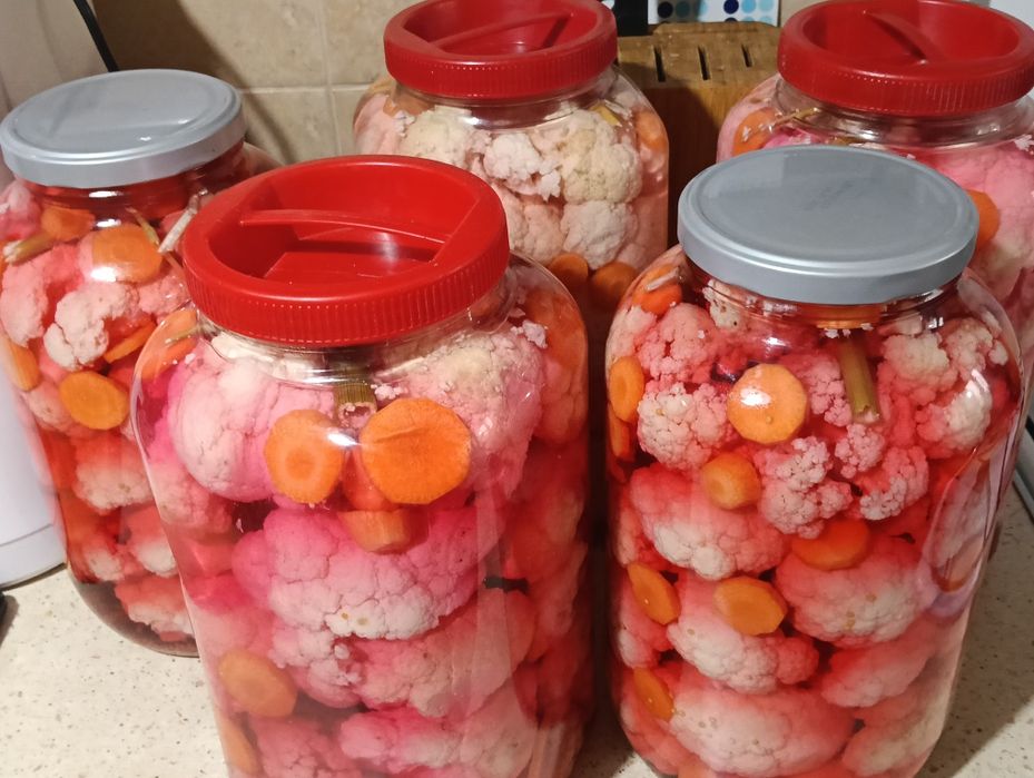 Conopida murats ,bidon 5L