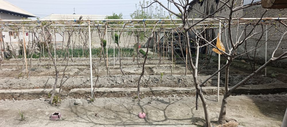 Yandi dôkon mfy, beklar yônalishida 10s