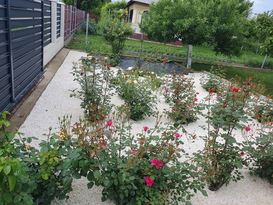 Piatră Decorativă,Marmură Albă  pentru Amenajari Gradini,Spatii Verzi