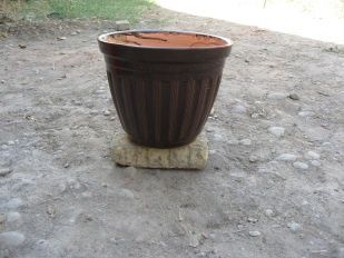 Версачи тувак ва кузалар