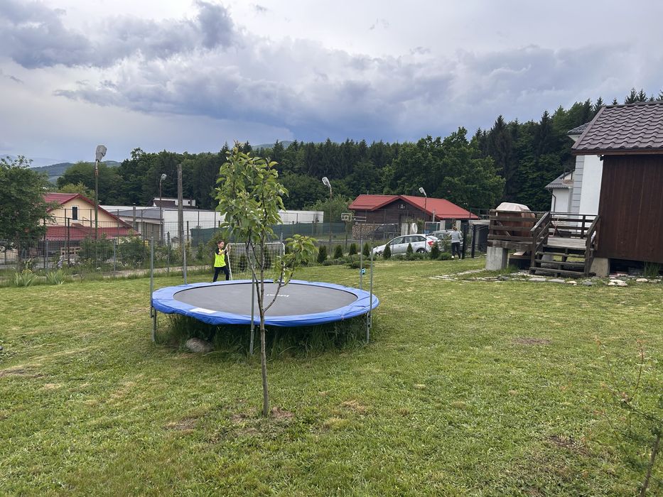 Teren Tocile , intravilan, com. Sadu