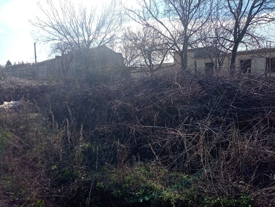 O'tin tekinga / Дрова бесплатно