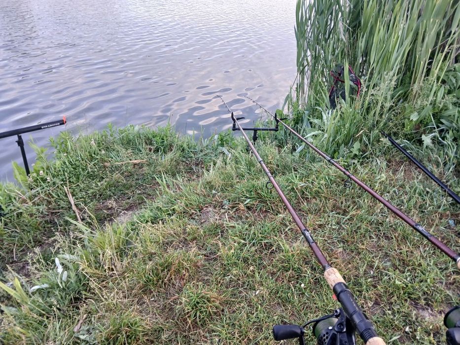 Vand doua bete fara mulinete Delphin Magma M3 Heavy Feeder