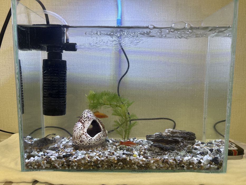 продам аквариум