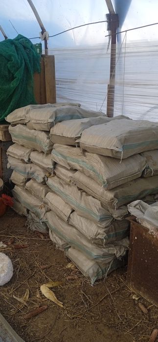 Дрова рублиные тополь