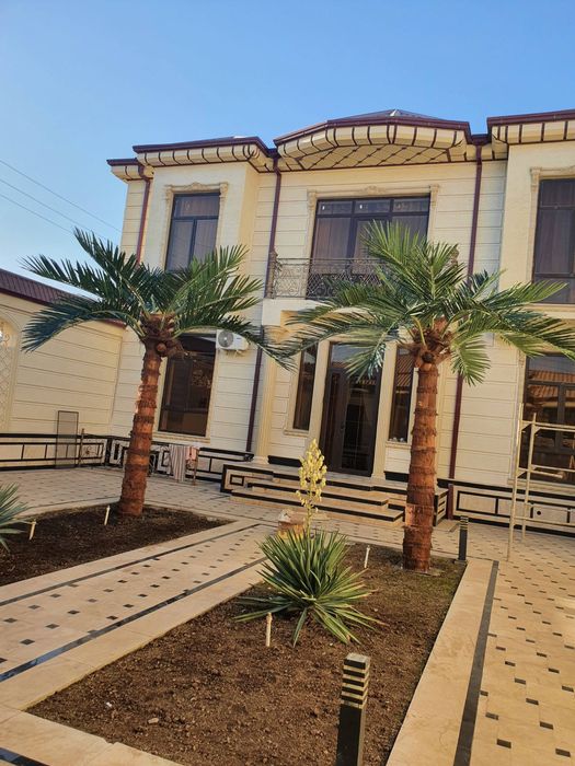 Toshkent | Premium sun’iy palma 3m–8m — tabiiydan farqi yo‘q! -30%