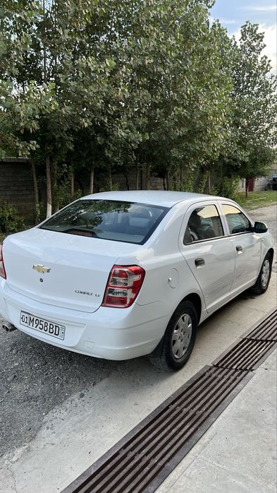 2019 Moshina bir qoʻl egadan