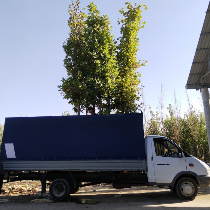 Gazel yuk tashish xizmati газель юк ташиш хизмати грузоперевозки газел