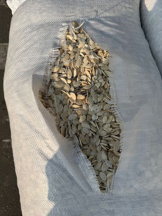 Semințe de Bostan, dovleac