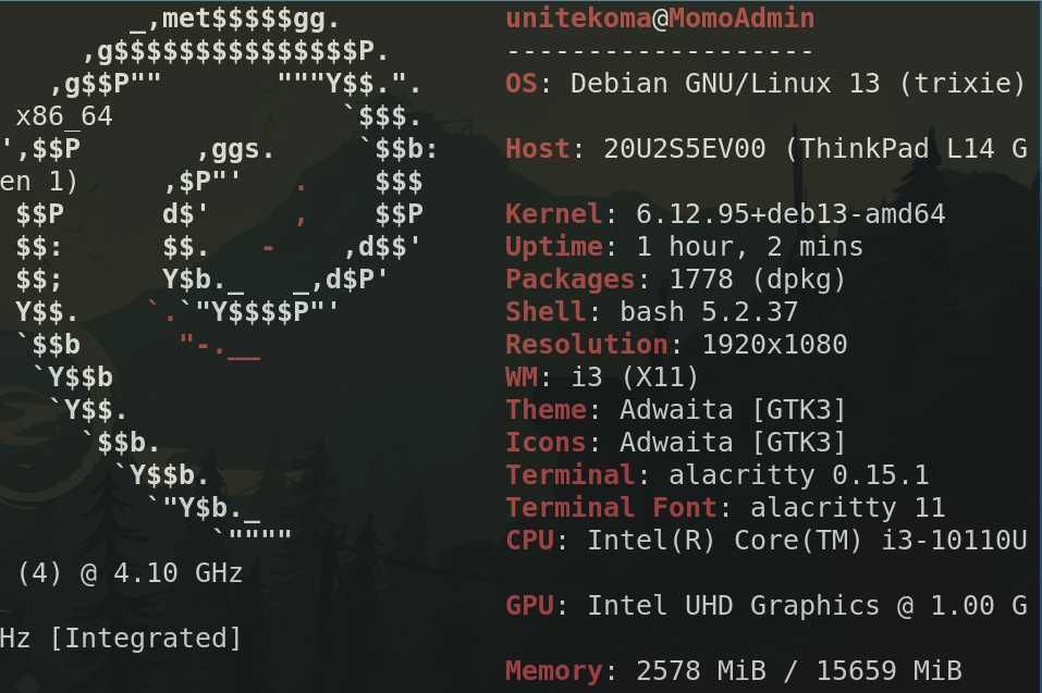 Thinkpad T14 core i3-10110U 8gb ddr4