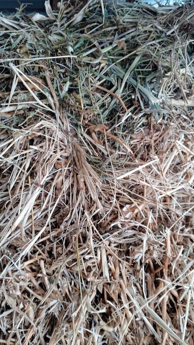 Продам салому мелкая