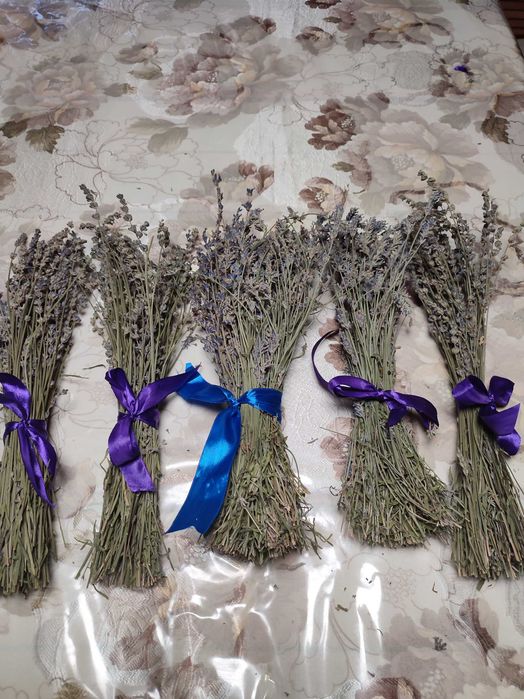 Букетики из сухосветов Лаванды