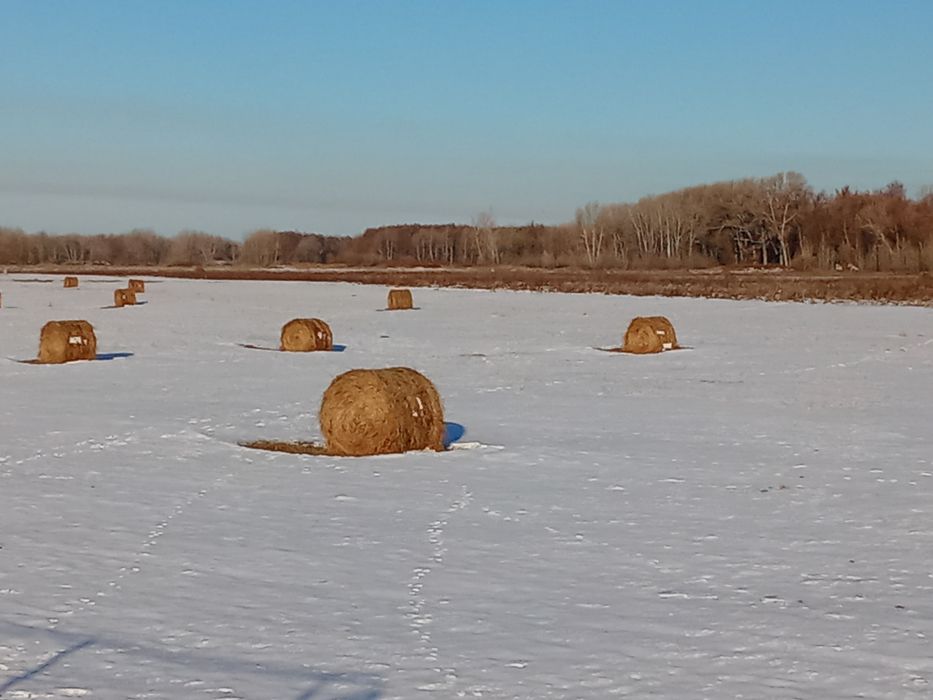 Сено шоп рулон тюк пресс