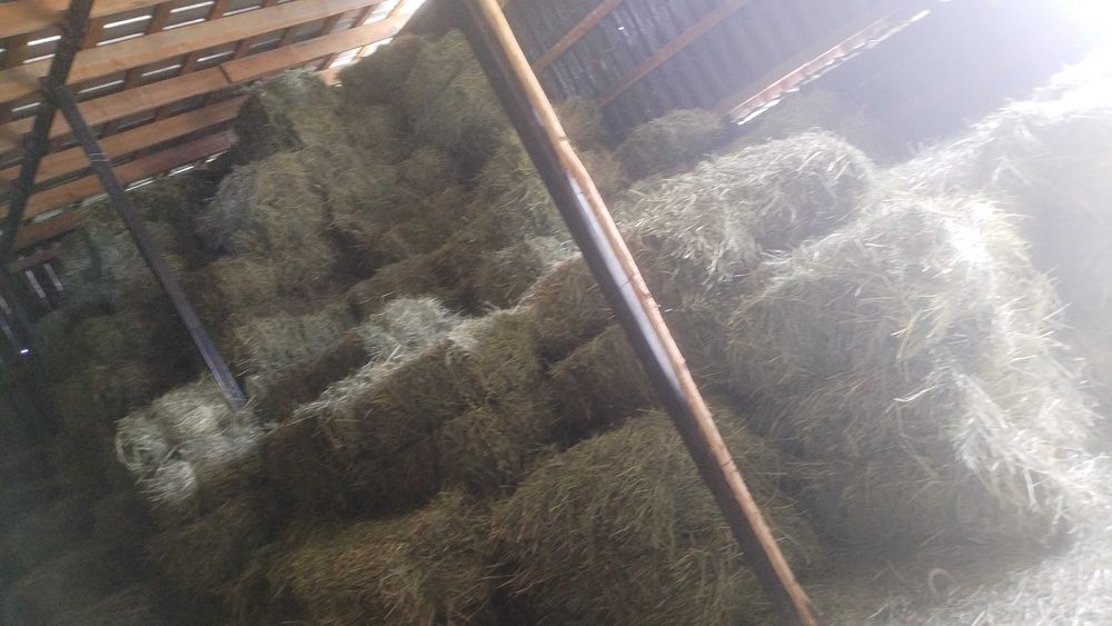 Продам  садовое сено