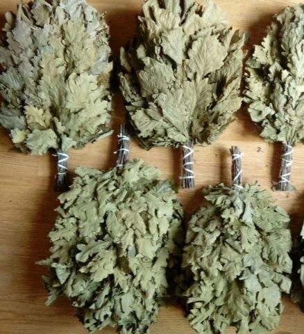 Веники для бани и сауны