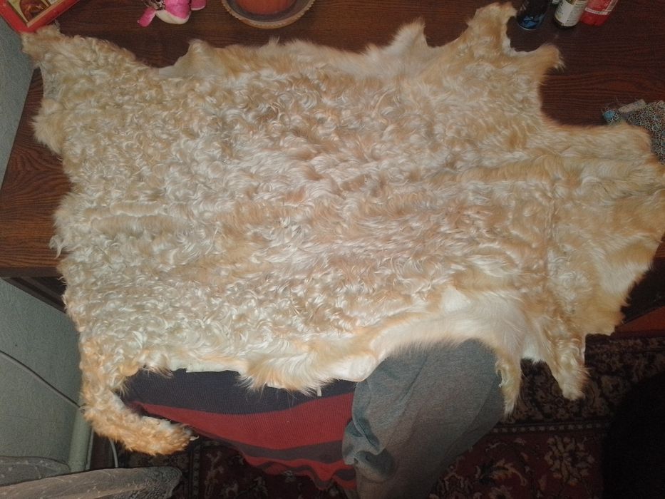 Овчина шкура мех